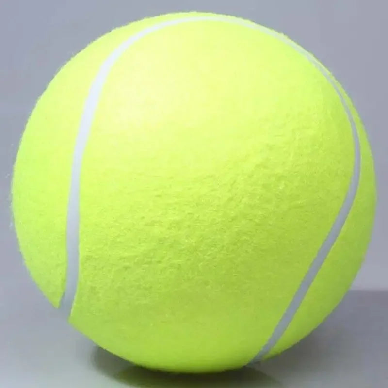 9.5'Giant Tennis Ball For Dogs