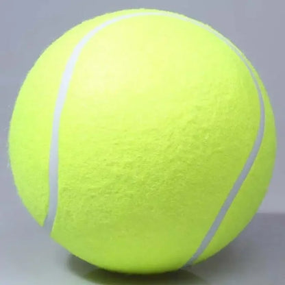 9.5'Giant Tennis Ball For Dogs