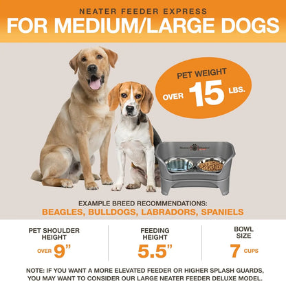 Elevated No-Spill Dog Bowl Set for Medium to Large Breeds, Stainless Steel Feeder with Catch Basin, Grey