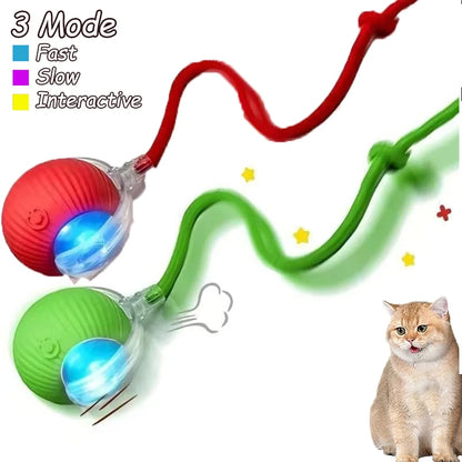2Pcs Cat Interactive Ball, Automatic Rolling Ball Faux Tail ,Rechargeable Smart Pet Electric, Imitates a mouse