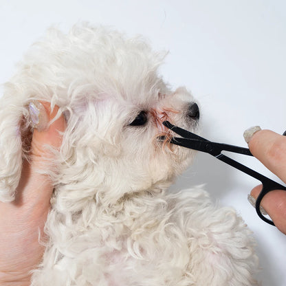Pet Facial Cleaning Comb Set, Removes Tear Stains, Dog and Cat Hair Repair Scissors, Hair Comb