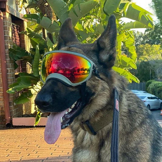 Dog Goggles Anti-UV, Sun Glasses, Eyewear Protection Adjustable and Windproof