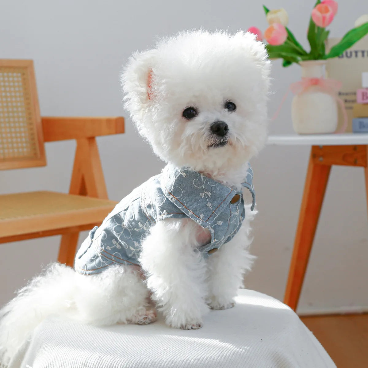 Denim Doggie Pet Jacket, Sleeveless Vest, Jeans Coat, Autumn or Spring Wear,  Apparel For Small, Medium, Dogs or  XS XL sizes for Cat or Puppy