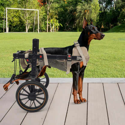Pet Walking Aid, XL Pet Rehabilitation Walking Aid Stable and Reliable 2-wheel Dog Wheelchairs,Refined Leash D-Ring for Back Legs