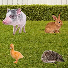 Dog Playpen | 40 Inch, 8 Panels | Heavy Duty Metal Pet Exercise Pen | Indoor Outdoor Fence Panels | Rust-Resistant, Removable