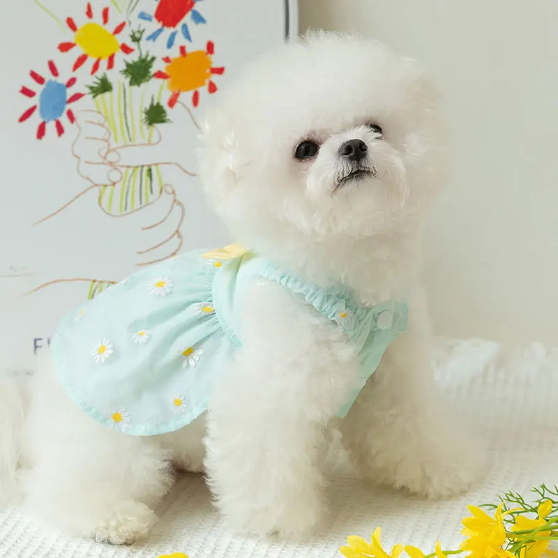 Cute Dog Princess Summer Dress, Poodle, Chihuahua Dog Clothes