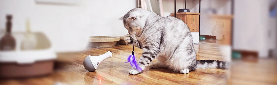 DOEL Cat Interactive Toys, Funny Feather Kitten Teaser
