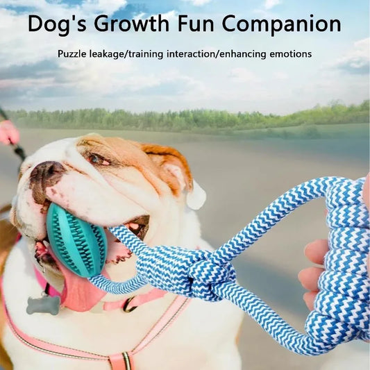 Interactive Dog Treat Ball, 18x13cm, Chew Resistant Rope Toy with Food Dispensing for Mental Stimulation