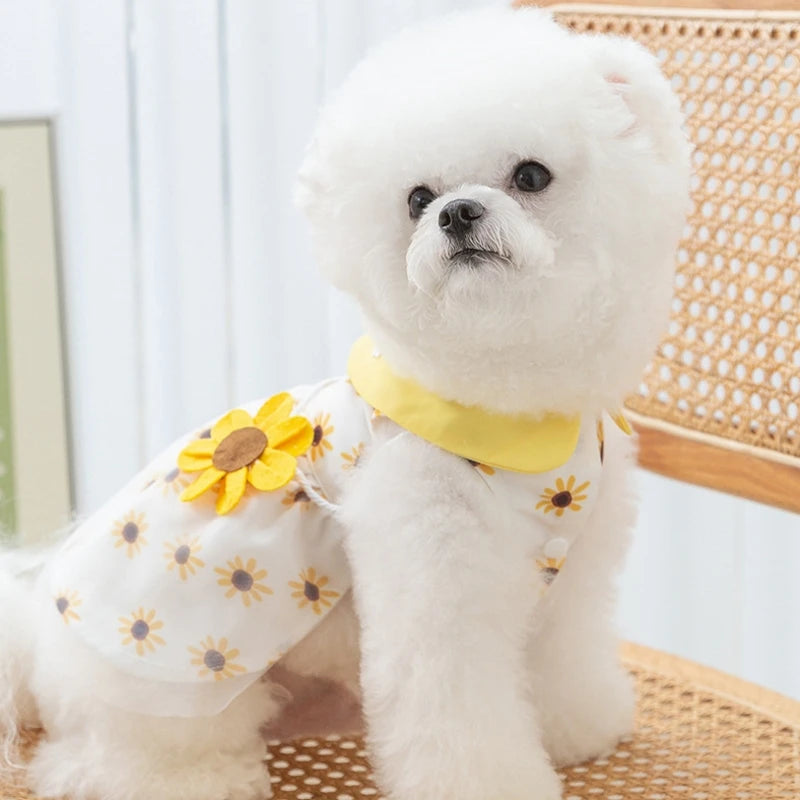 Cute Dog Princess Summer Dress, Poodle, Chihuahua Dog Clothes