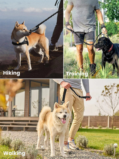 Military Dog Leashes ,Adjustable Leash Quick Release Elastic Rope With 2 Control Handle For Medium and Small Dogs Accessories