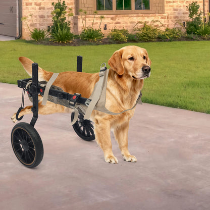 Pet Walking Aid, XL Pet Rehabilitation Walking Aid Stable and Reliable 2-wheel Dog Wheelchairs,Refined Leash D-Ring for Back Legs