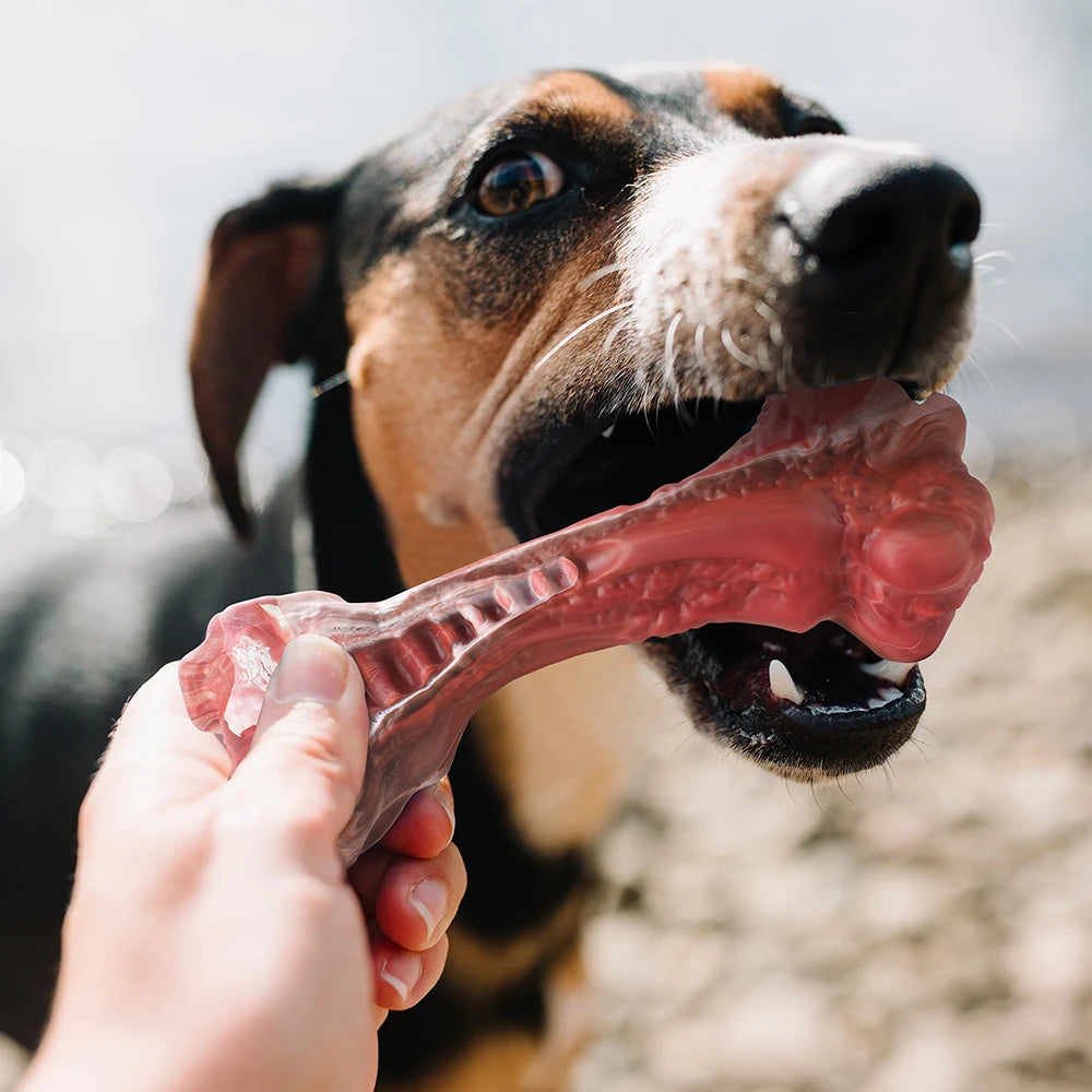 MASBRILL Dog Toys Aggressive Chewers, Large Dogs Bone-Shaped Indestructible Nylon Interactive Dog Toy, Teeth Cleaning