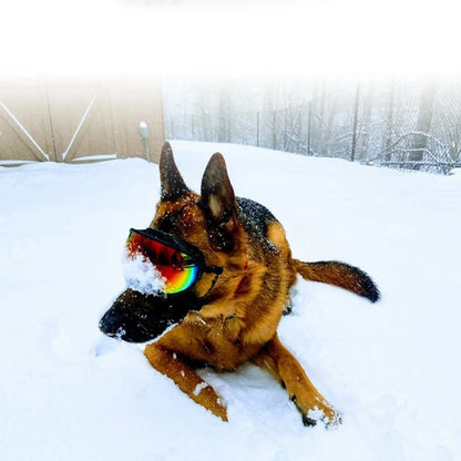 Dog Goggles Anti-UV, Sun Glasses, Eyewear Protection Adjustable and Windproof