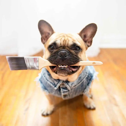 Pet Dog Jeans Jacket Denim, , Small Dog Clothes Spring/Autumn Apparel Fashion