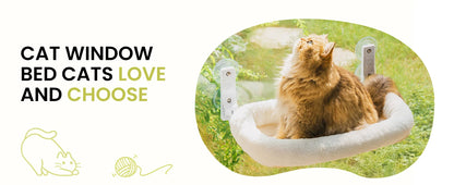 Foldable Cat Window Perch with 4 Strong Suction Cups, Cordless Cat Window Hammock Removable Soft Cover White Brown Green