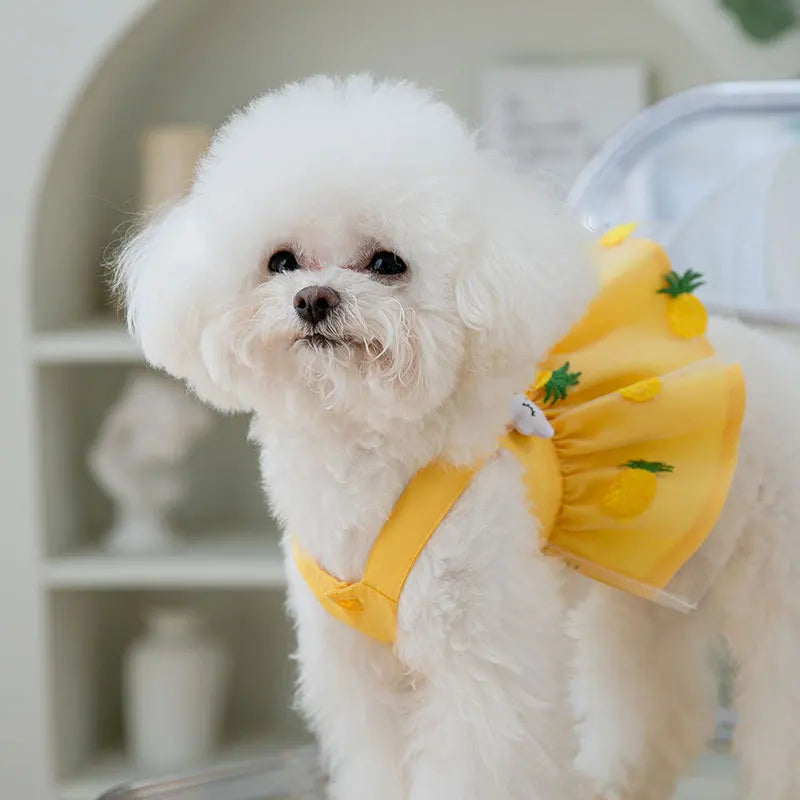 Cute Dog Princess Summer Dress, Poodle, Chihuahua Dog Clothes