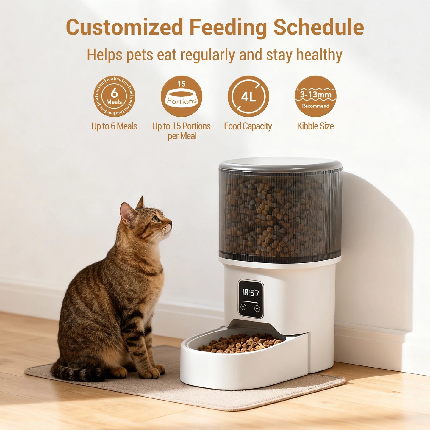 Programmable 4L Automatic Pet Feeder for Small Dogs and Cats, Up to 6 Meals Daily, Timer/Portion Control, Pet Feeding Food Dispenser