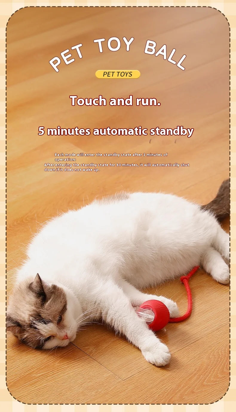 2Pcs Cat Interactive Ball, Automatic Rolling Ball Faux Tail ,Rechargeable Smart Pet Electric, Imitates a mouse