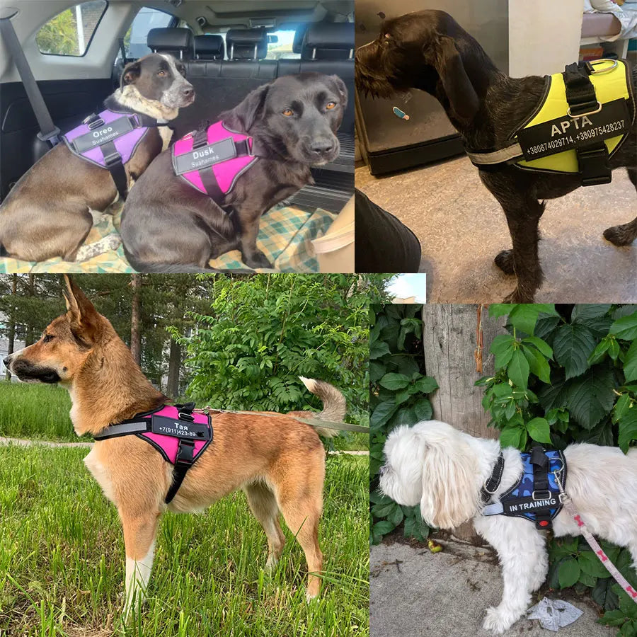 Dog Harness Vest, ID Patch Customized Reflective Breathable Adjustable Pet Harness For Dog