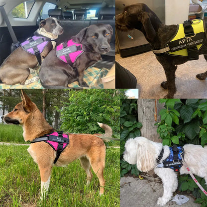 Dog Harness Vest, ID Patch Customized Reflective Breathable Adjustable Pet Harness For Dog