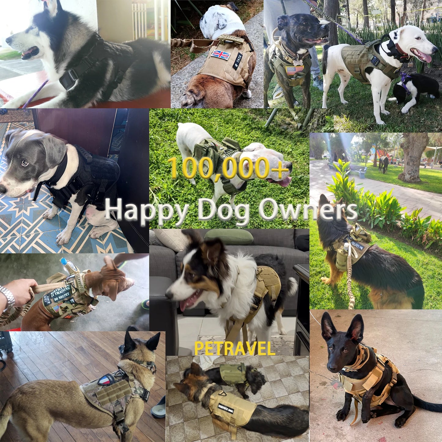 Tactical Dog Harness Collar Leash Molle Pouches For Medium and Large Dogs, Walking Vest Dog Harnesses