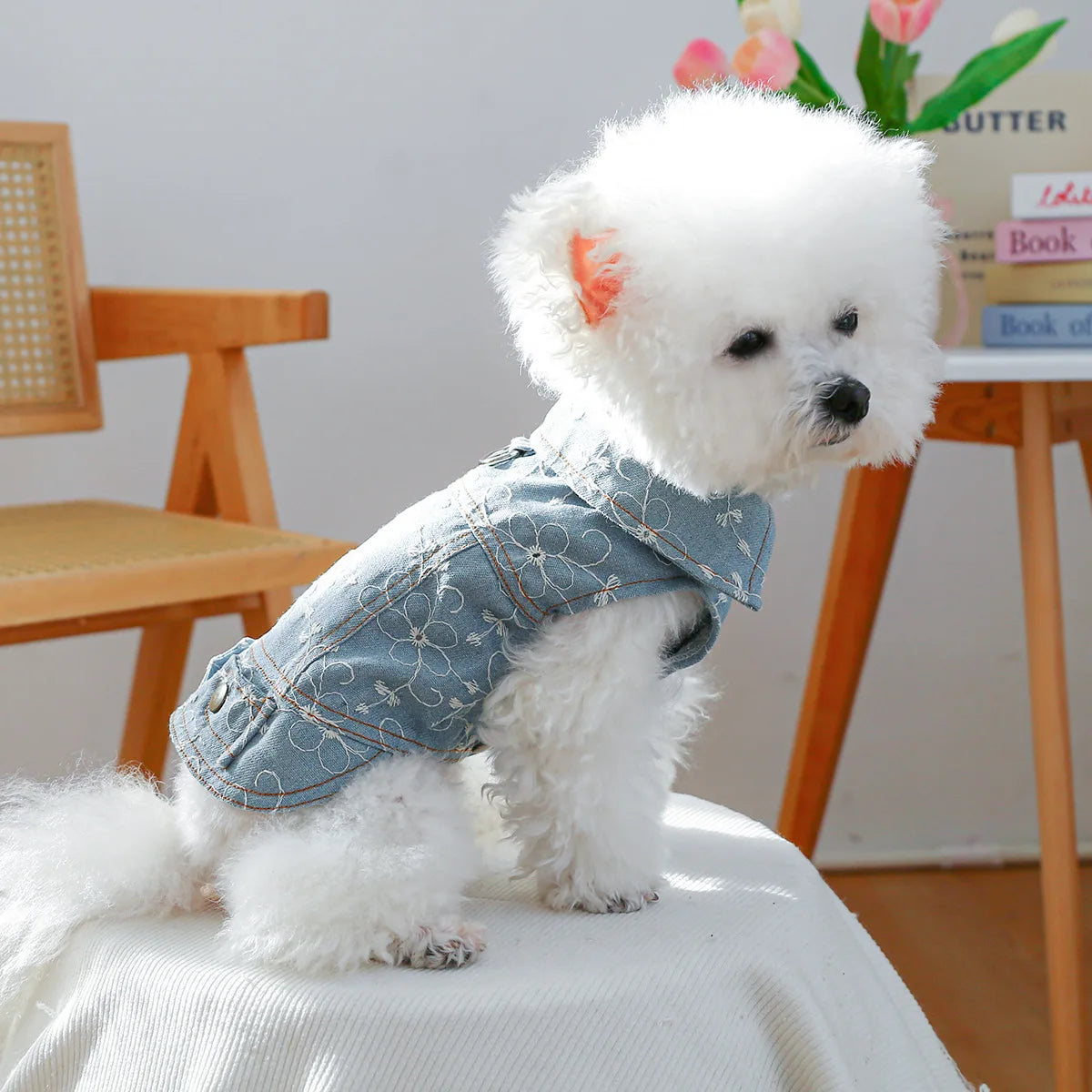 Denim Doggie Pet Jacket, Sleeveless Vest, Jeans Coat, Autumn or Spring Wear,  Apparel For Small, Medium, Dogs or  XS XL sizes for Cat or Puppy