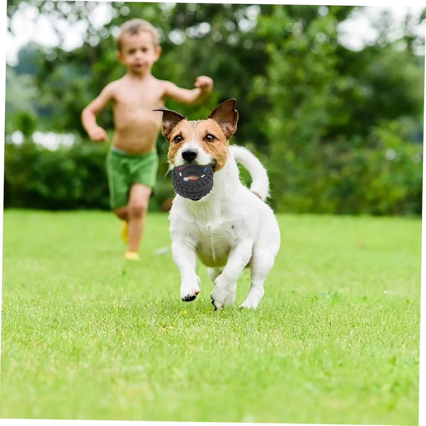 1pc Durable Dog Chew Wheel Toy Chew-Resistant, Interactive Sound , Suitable for Puppies Small and Medium Dogs
