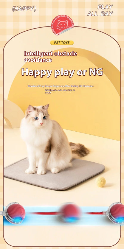 2Pcs Cat Interactive Ball, Automatic Rolling Ball Faux Tail ,Rechargeable Smart Pet Electric, Imitates a mouse