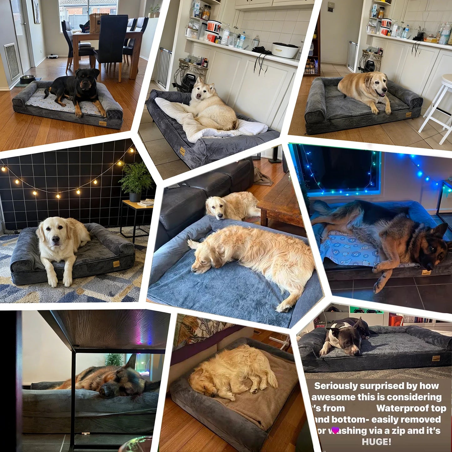 XXXL Large Calming Dog Bed Orthopedic Memory Foam , Waterproof Removable Cover Plush Mat for Small Medium Large Dogs