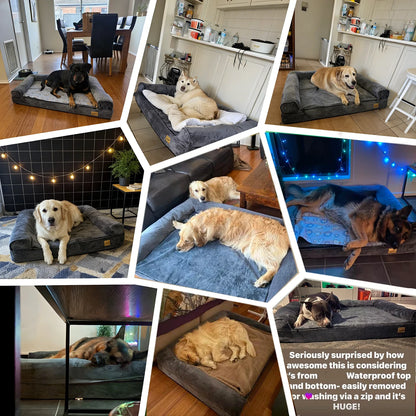 XXXL Large Calming Dog Bed Orthopedic Memory Foam , Waterproof Removable Cover Plush Mat for Small Medium Large Dogs
