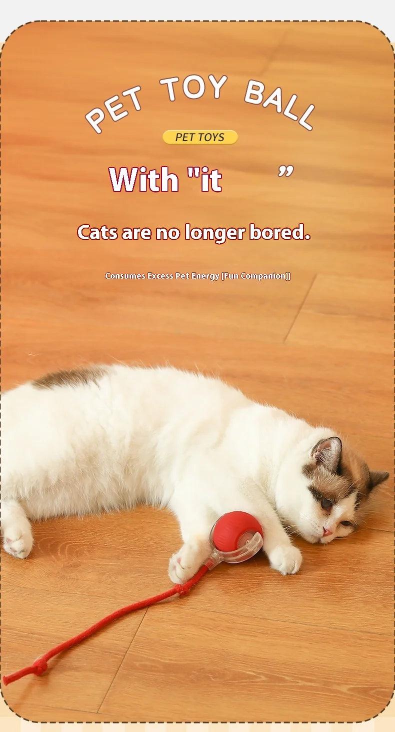 2Pcs Cat Interactive Ball, Automatic Rolling Ball Faux Tail ,Rechargeable Smart Pet Electric, Imitates a mouse