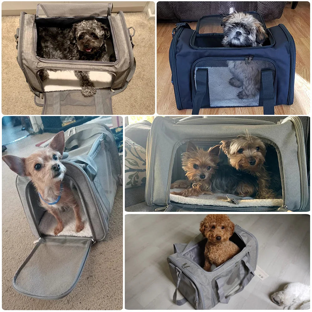 Dog Carrier Bag ,Soft Side Backpack, Pet Carriers Dog Travel Bags Airline Approved ,Transport For Small Dogs and Cats