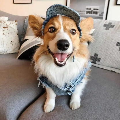 Pet Dog Jeans Jacket Denim, , Small Dog Clothes Spring/Autumn Apparel Fashion