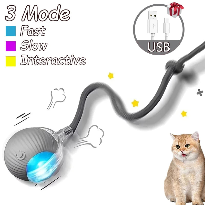 2Pcs Cat Interactive Ball, Automatic Rolling Ball Faux Tail ,Rechargeable Smart Pet Electric, Imitates a mouse