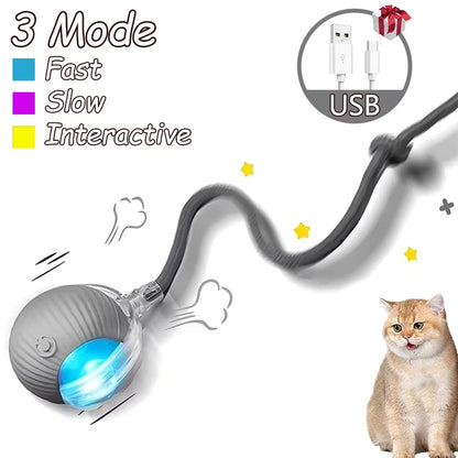 2Pcs Cat Interactive Ball, Automatic Rolling Ball Faux Tail ,Rechargeable Smart Pet Electric, Imitates a mouse