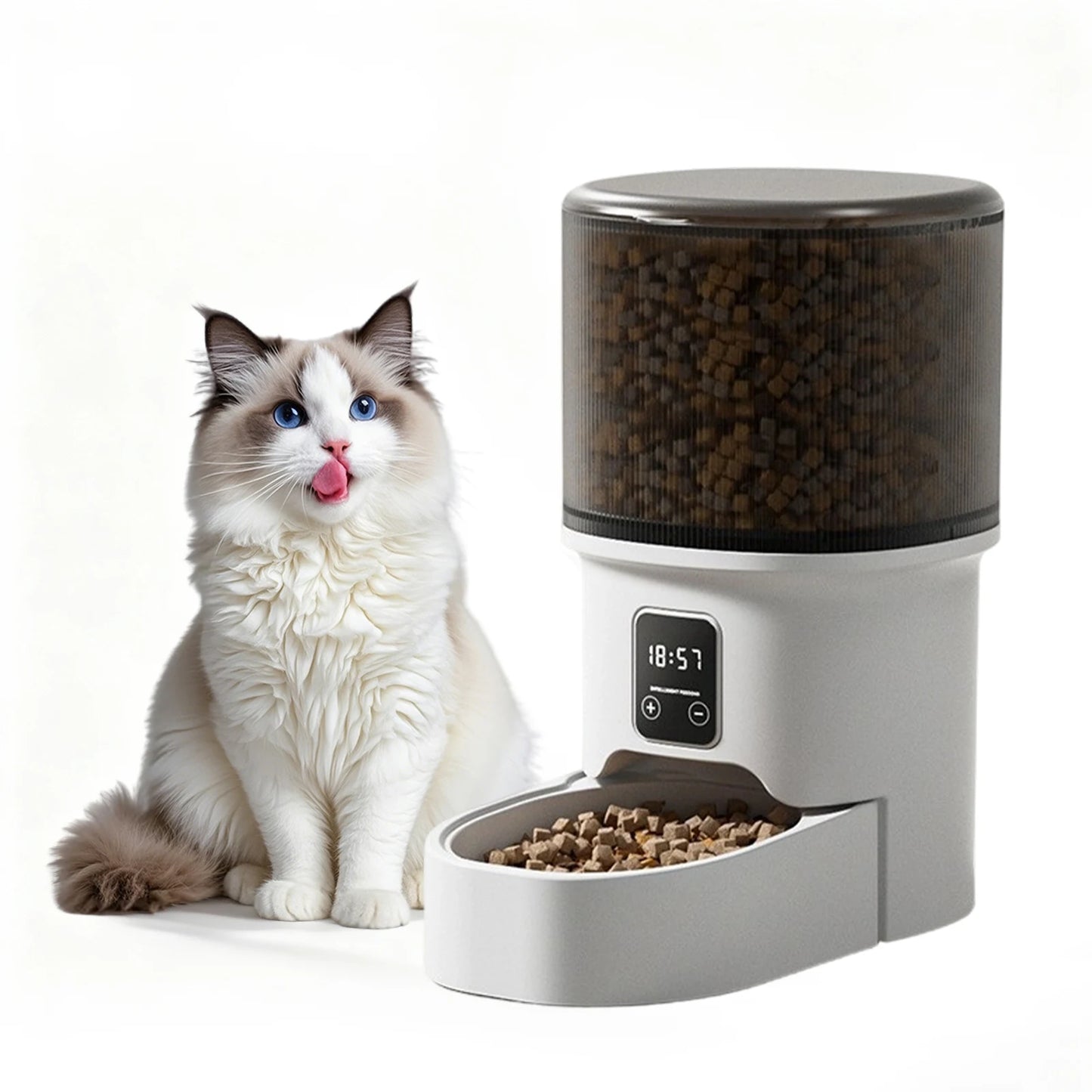 Programmable 4L Automatic Pet Feeder for Small Dogs and Cats, Up to 6 Meals Daily, Timer/Portion Control, Pet Feeding Food Dispenser