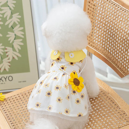 Cute Dog Princess Summer Dress, Poodle, Chihuahua Dog Clothes