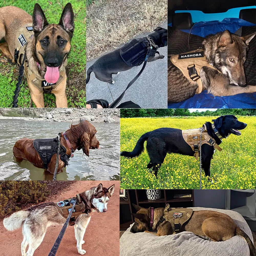 Tactical Dog Harness, Leash Set for Large Dogs, Military Harnesses for Training and Walking or Hunting