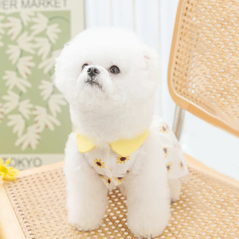 Cute Dog Princess Summer Dress, Poodle, Chihuahua Dog Clothes