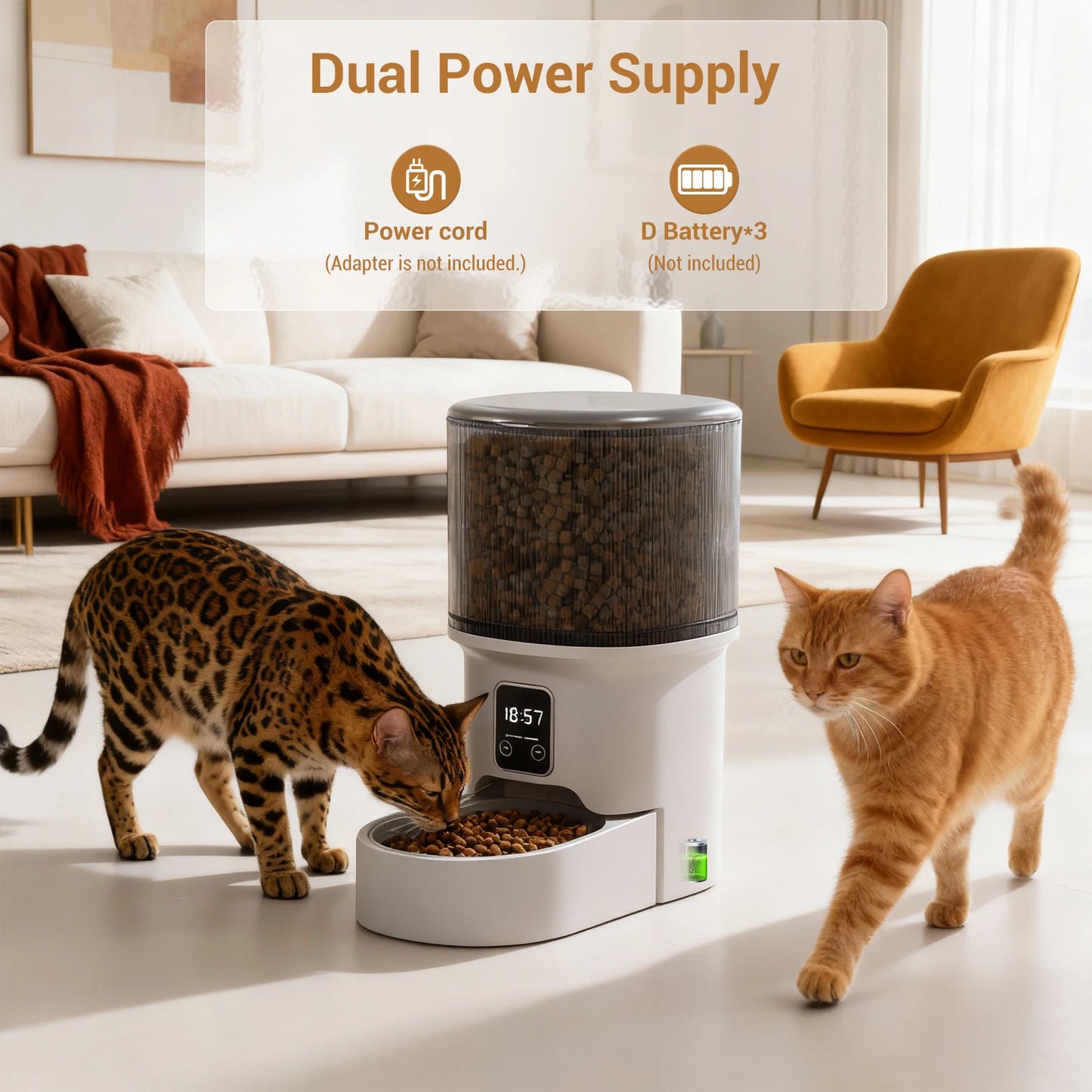 Programmable 4L Automatic Pet Feeder for Small Dogs and Cats, Up to 6 Meals Daily, Timer/Portion Control, Pet Feeding Food Dispenser