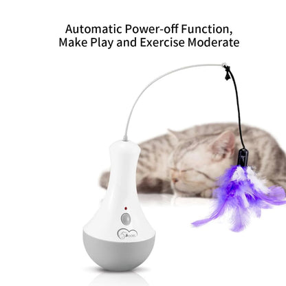 DOEL Cat Interactive Toys, Funny Feather Kitten Teaser