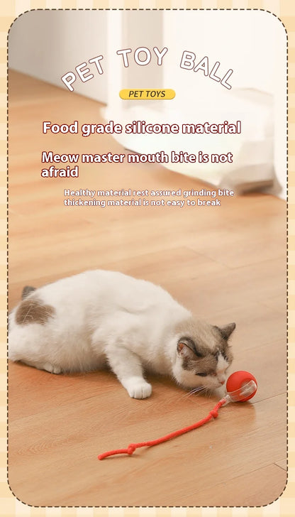 2Pcs Cat Interactive Ball, Automatic Rolling Ball Faux Tail ,Rechargeable Smart Pet Electric, Imitates a mouse