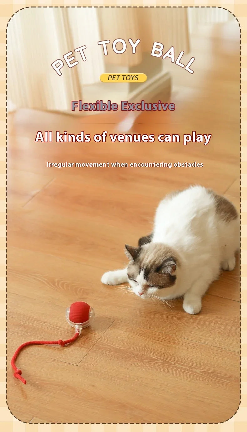 2Pcs Cat Interactive Ball, Automatic Rolling Ball Faux Tail ,Rechargeable Smart Pet Electric, Imitates a mouse