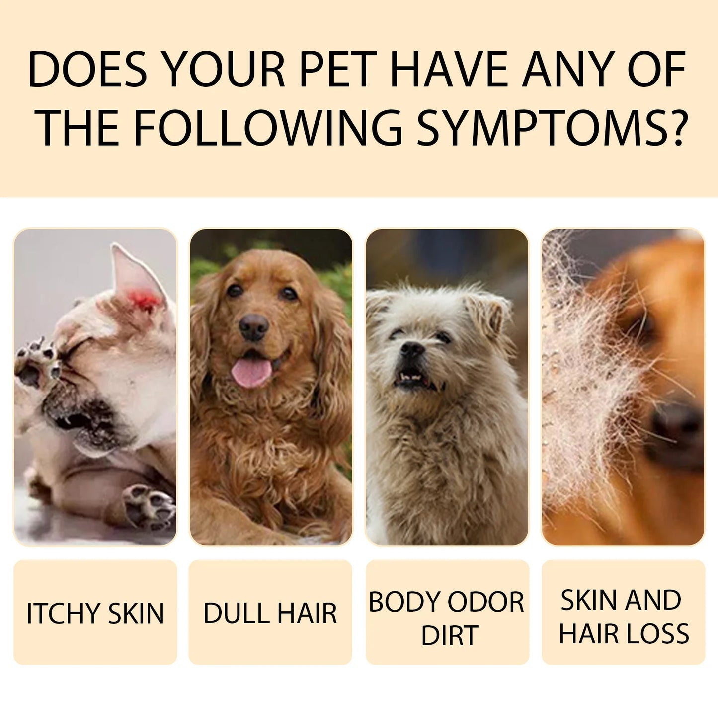 Dog Wash Shampoo: Flea & Mite Killer, Dirt Removal - Anti-Itch, Deodorizing & Moisturizing Formula for Softening Coat