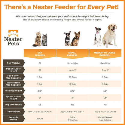 Elevated No-Spill Dog Bowl Set for Medium to Large Breeds, Stainless Steel Feeder with Catch Basin, Grey