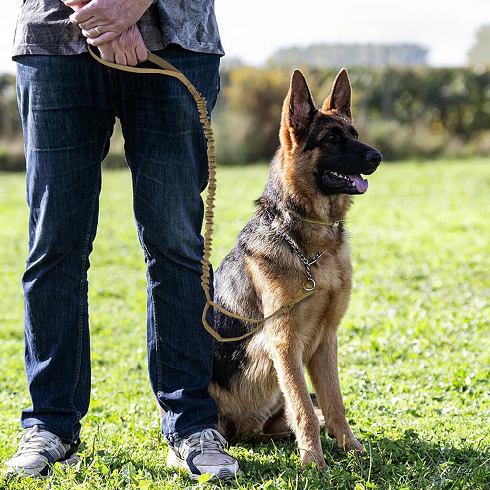 Military Dog Leashes ,Adjustable Leash Quick Release Elastic Rope With 2 Control Handle For Medium and Small Dogs Accessories