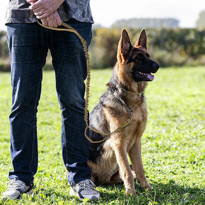 Military Dog Leashes ,Adjustable Leash Quick Release Elastic Rope With 2 Control Handle For Medium and Small Dogs Accessories