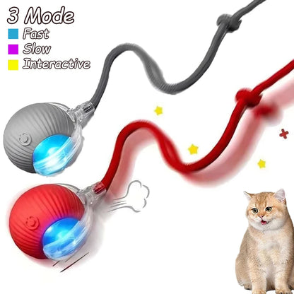 2Pcs Cat Interactive Ball, Automatic Rolling Ball Faux Tail ,Rechargeable Smart Pet Electric, Imitates a mouse