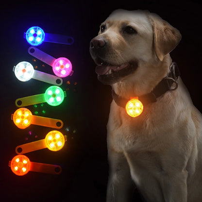 LED Pet Dog and Cat Collar Pendant for Night Safety ,Waterproof ,Flashing Harness With Light