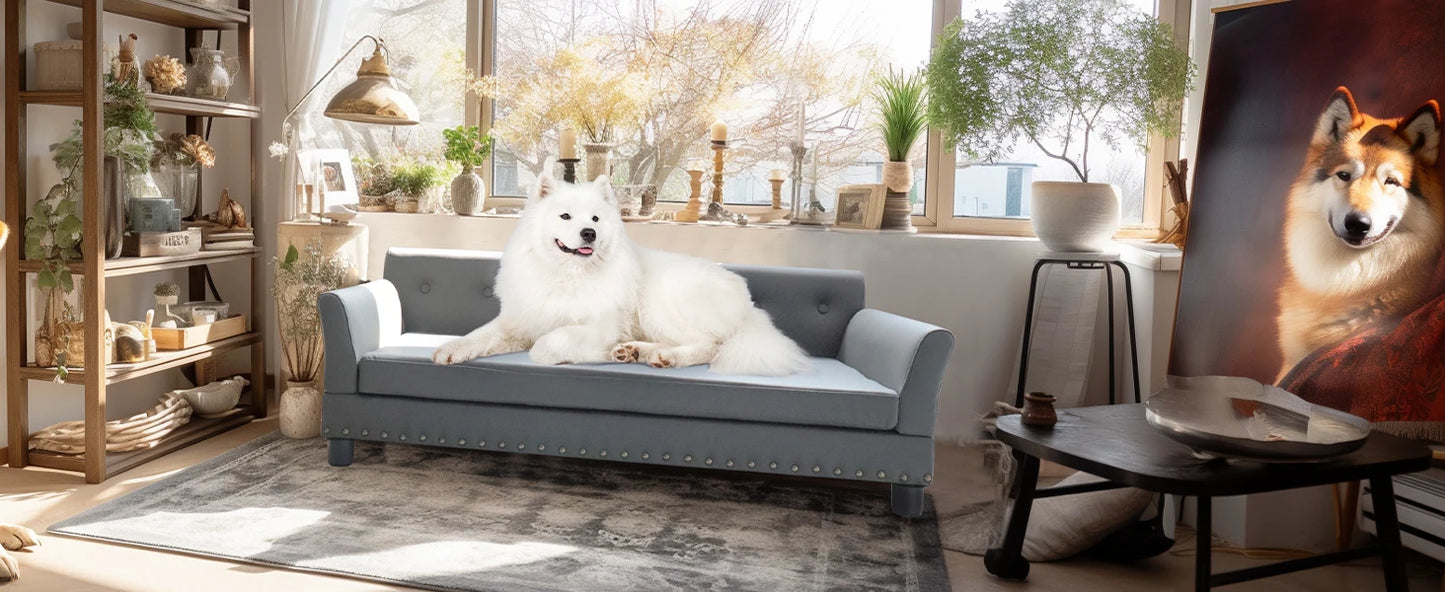 BINGOPAW Rectangle Pet Bed for Medium and Large Dogs, Durable Elevated Dog Sofa Bed, Comfortable Dog Couch, Modern Dog Sofa